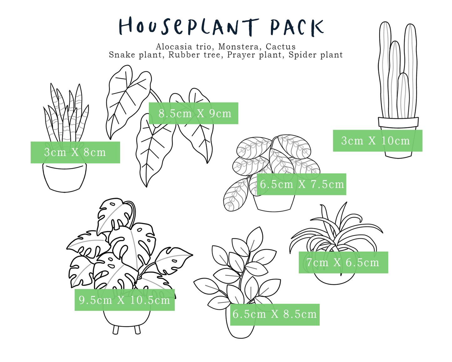 Houseplant Stick and Stitch Embroidery Designs